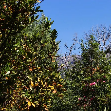 Aparthotel Nireas Resort Corfu
