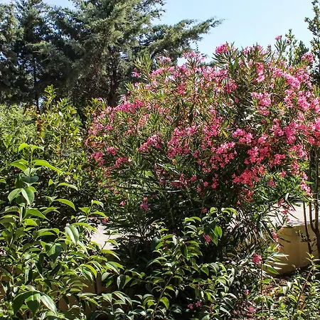 Nireas Corfu 아파트호텔 아카라비