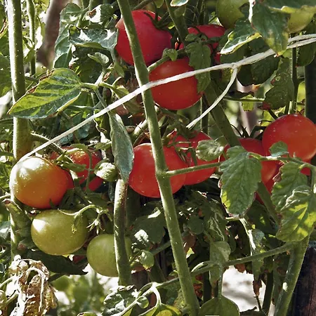 아파트호텔 Nireas Corfu 아카라비